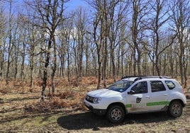 Uno de los vehículos de IDForestal en un bosque.