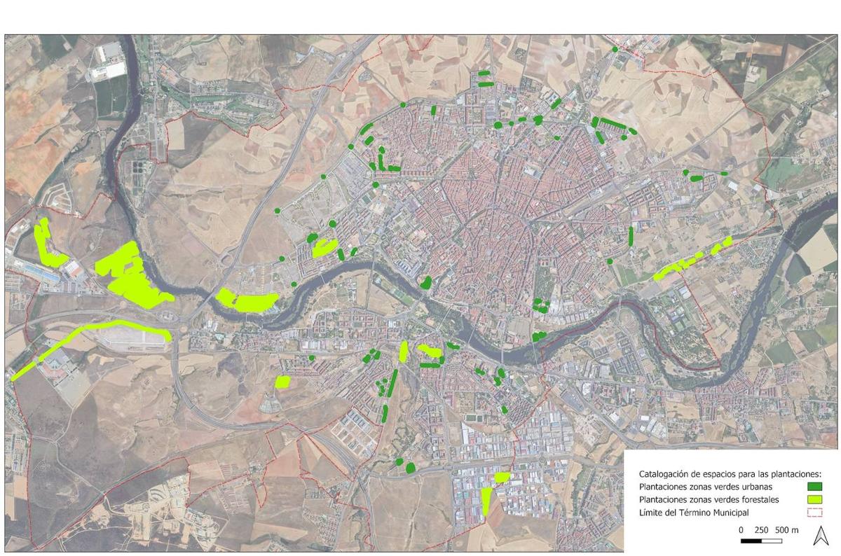 Salamanca, más verde con la plantación de 32.600 árboles