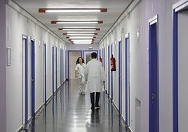 Personal sanitario en los pasillos del Hospital Virgen de la Vega.