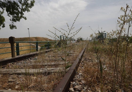 Tramo de la antigua vía Ruta de la Plata.