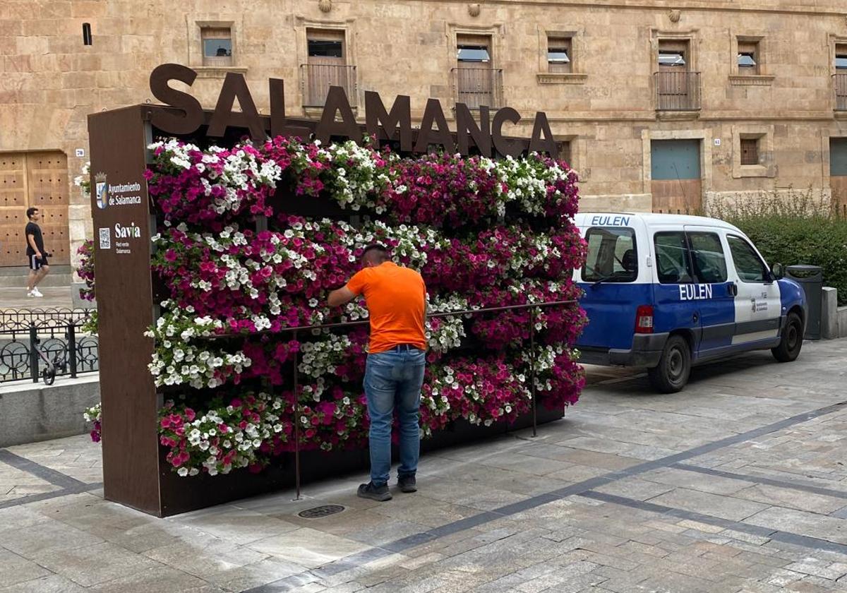 El 'photocall' más esperado vuelve a lucir en la Rúa