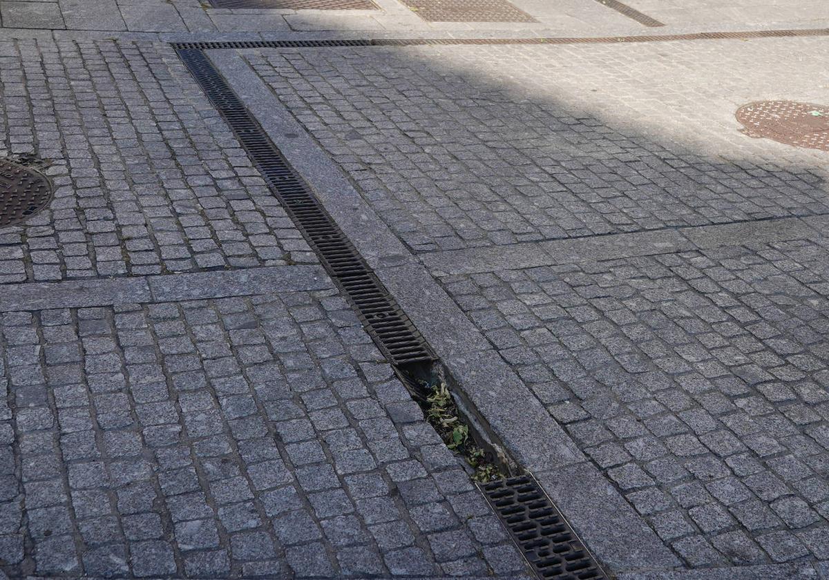 Nuevo parque temático de obstáculos