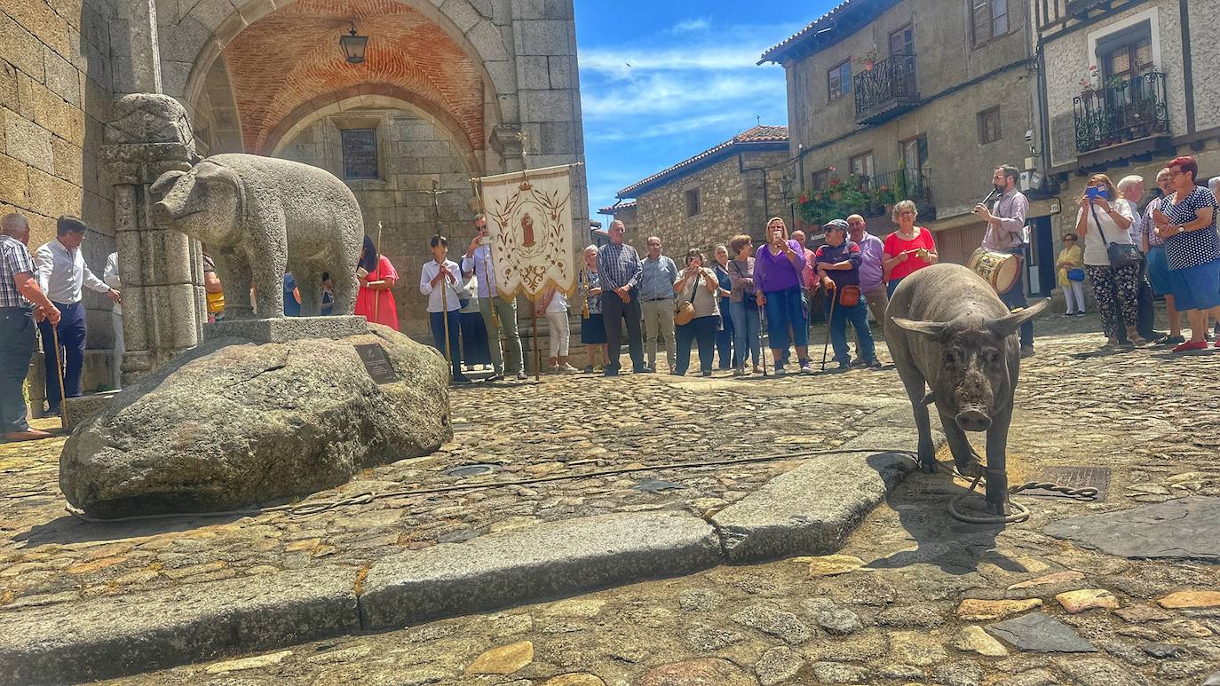La Alberca bendice a su marrano de San Antón que no será rifado por primera vez