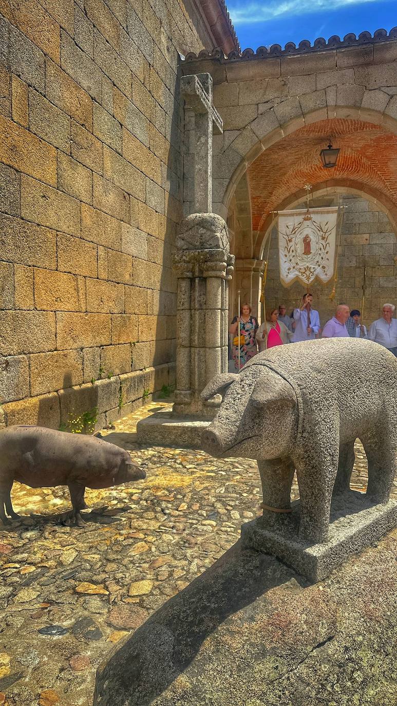 La Alberca bendice a su marrano de San Antón que no será rifado por primera vez