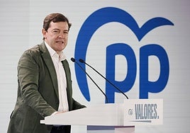 El presidente de la Junta de Castilla y León y líder del PP en la región, Alfonso Fernández Mañueco.