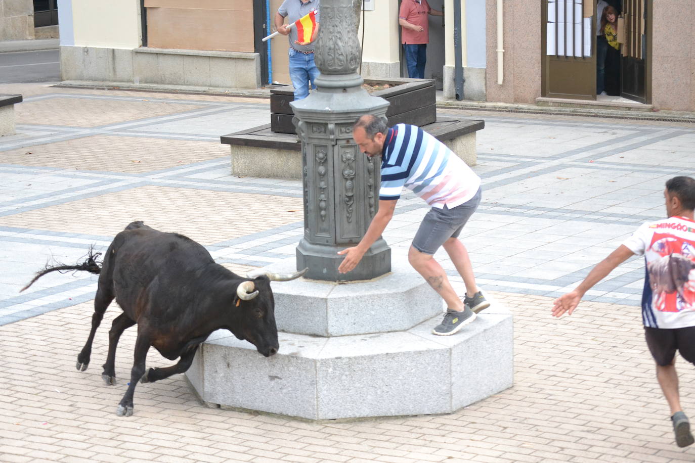 ‘Músico’ saca brillo al IX Toro de Cajón de Vitigudino