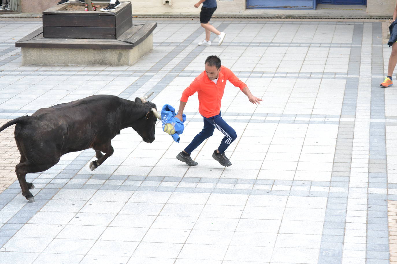 ‘Músico’ saca brillo al IX Toro de Cajón de Vitigudino