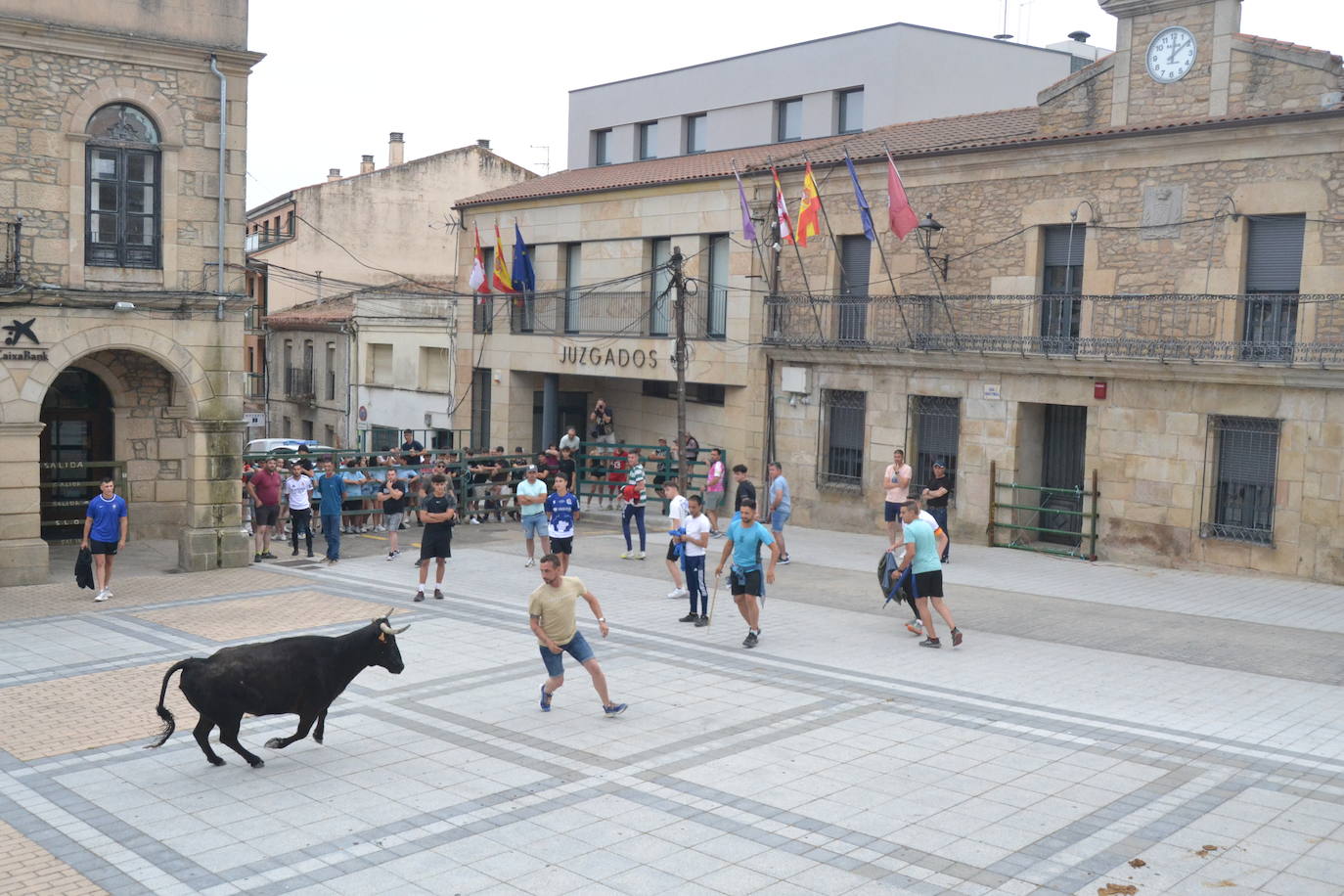 ‘Músico’ saca brillo al IX Toro de Cajón de Vitigudino