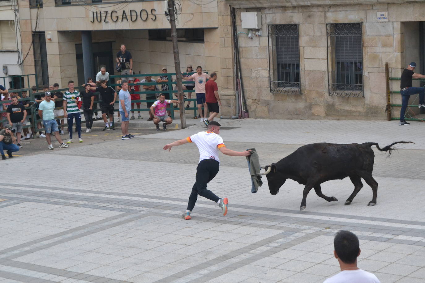 ‘Músico’ saca brillo al IX Toro de Cajón de Vitigudino