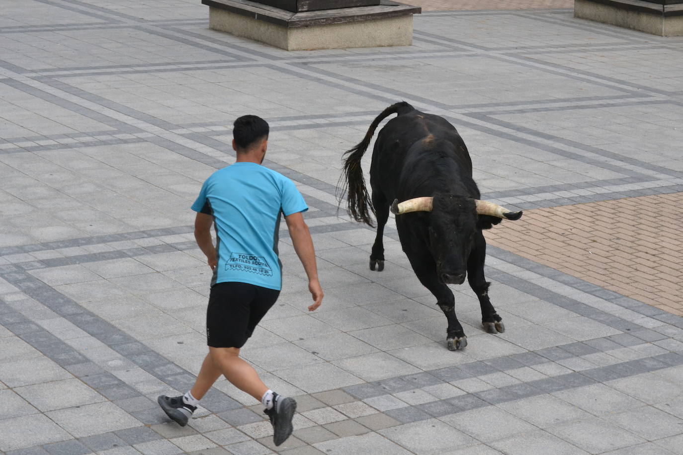 ‘Músico’ saca brillo al IX Toro de Cajón de Vitigudino