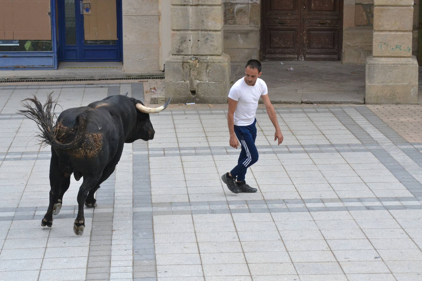 ‘Músico’ saca brillo al IX Toro de Cajón de Vitigudino