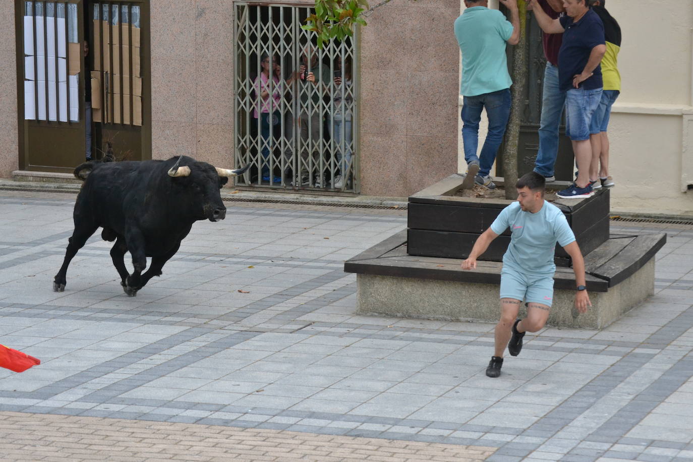 ‘Músico’ saca brillo al IX Toro de Cajón de Vitigudino