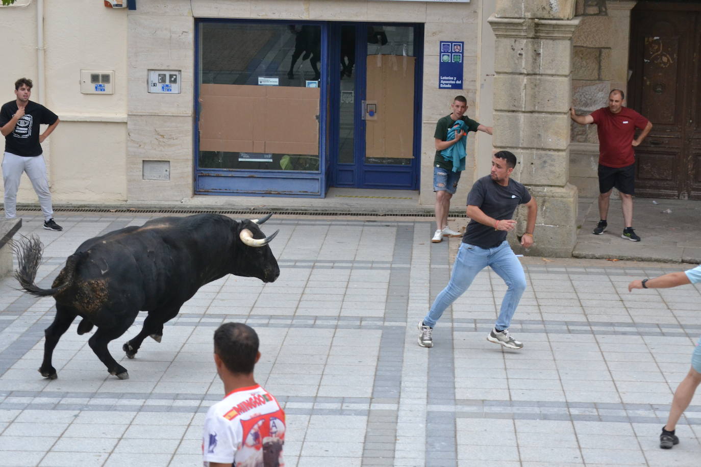 ‘Músico’ saca brillo al IX Toro de Cajón de Vitigudino