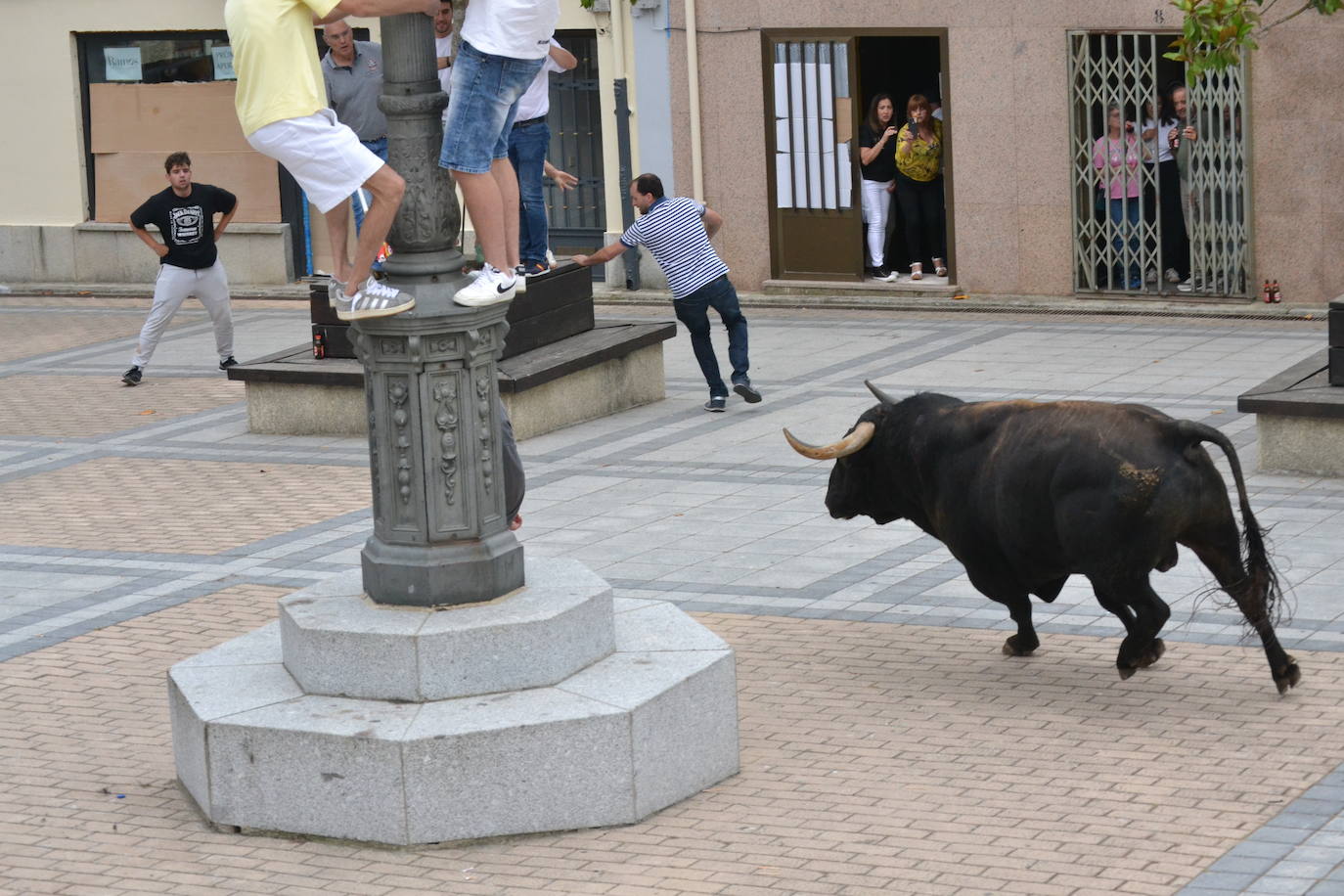‘Músico’ saca brillo al IX Toro de Cajón de Vitigudino