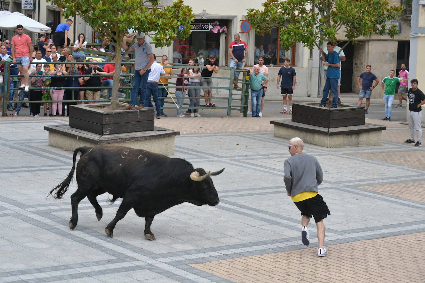 ‘Músico’ saca brillo al IX Toro de Cajón de Vitigudino
