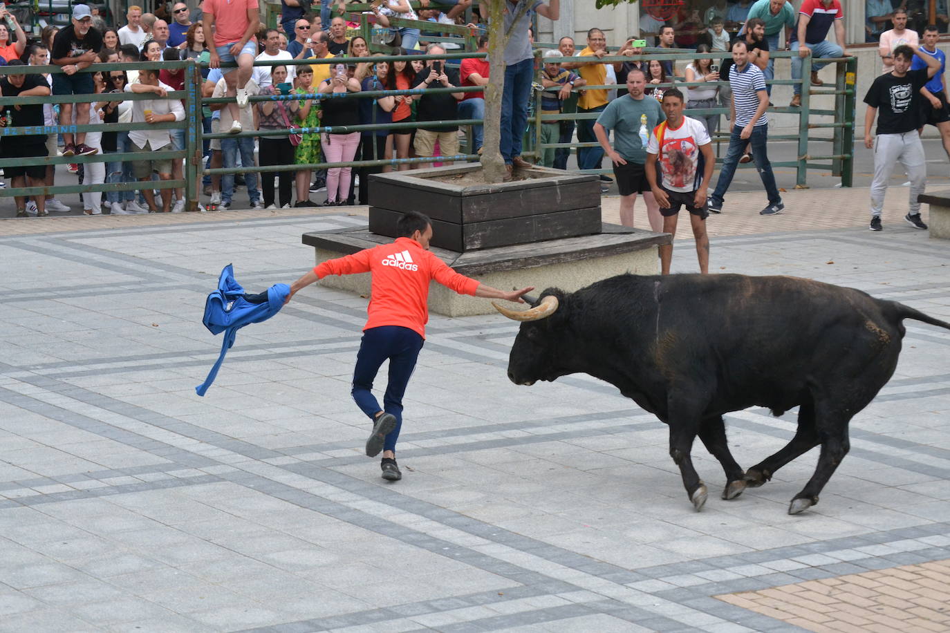‘Músico’ saca brillo al IX Toro de Cajón de Vitigudino