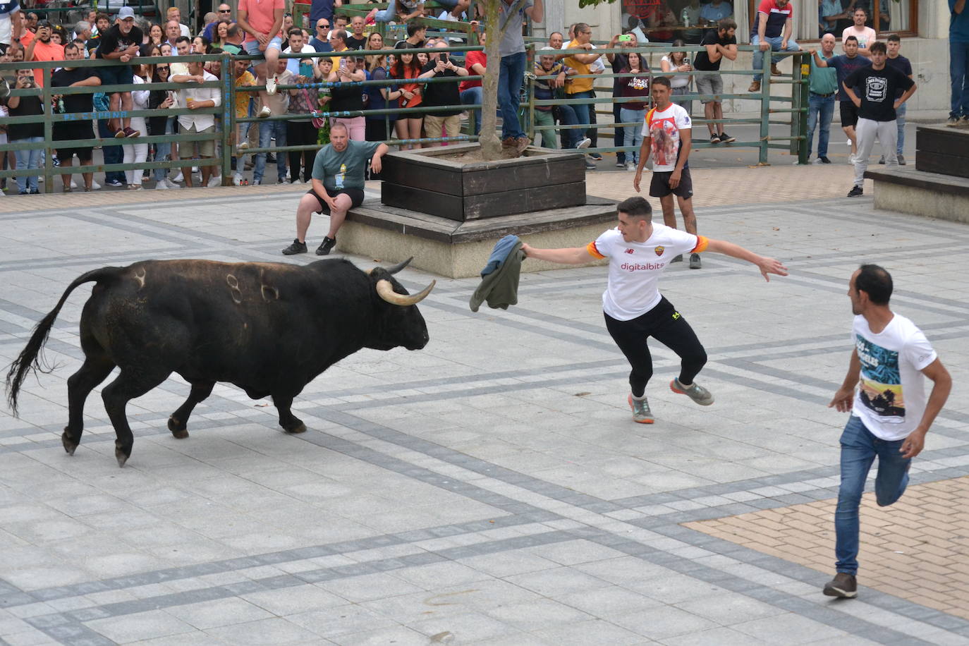 ‘Músico’ saca brillo al IX Toro de Cajón de Vitigudino