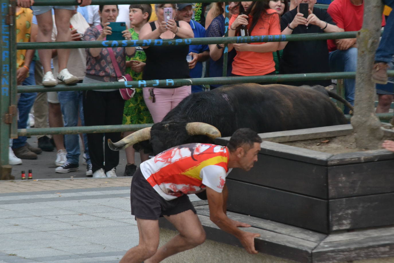 ‘Músico’ saca brillo al IX Toro de Cajón de Vitigudino