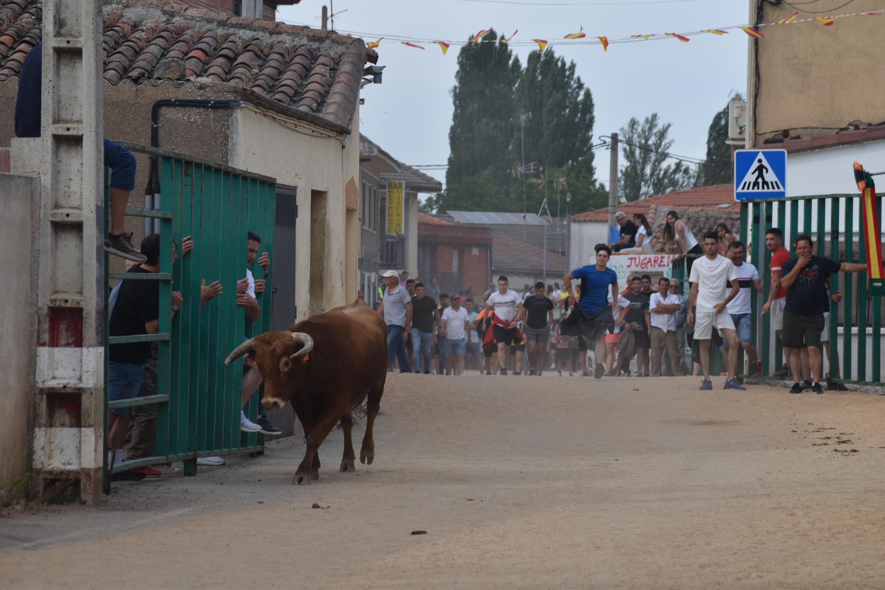 Pasión taurina en Topas antes de cerrar las fiestas en honor a San Antonio
