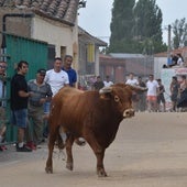 Encierro urbano en las calles de Topas.