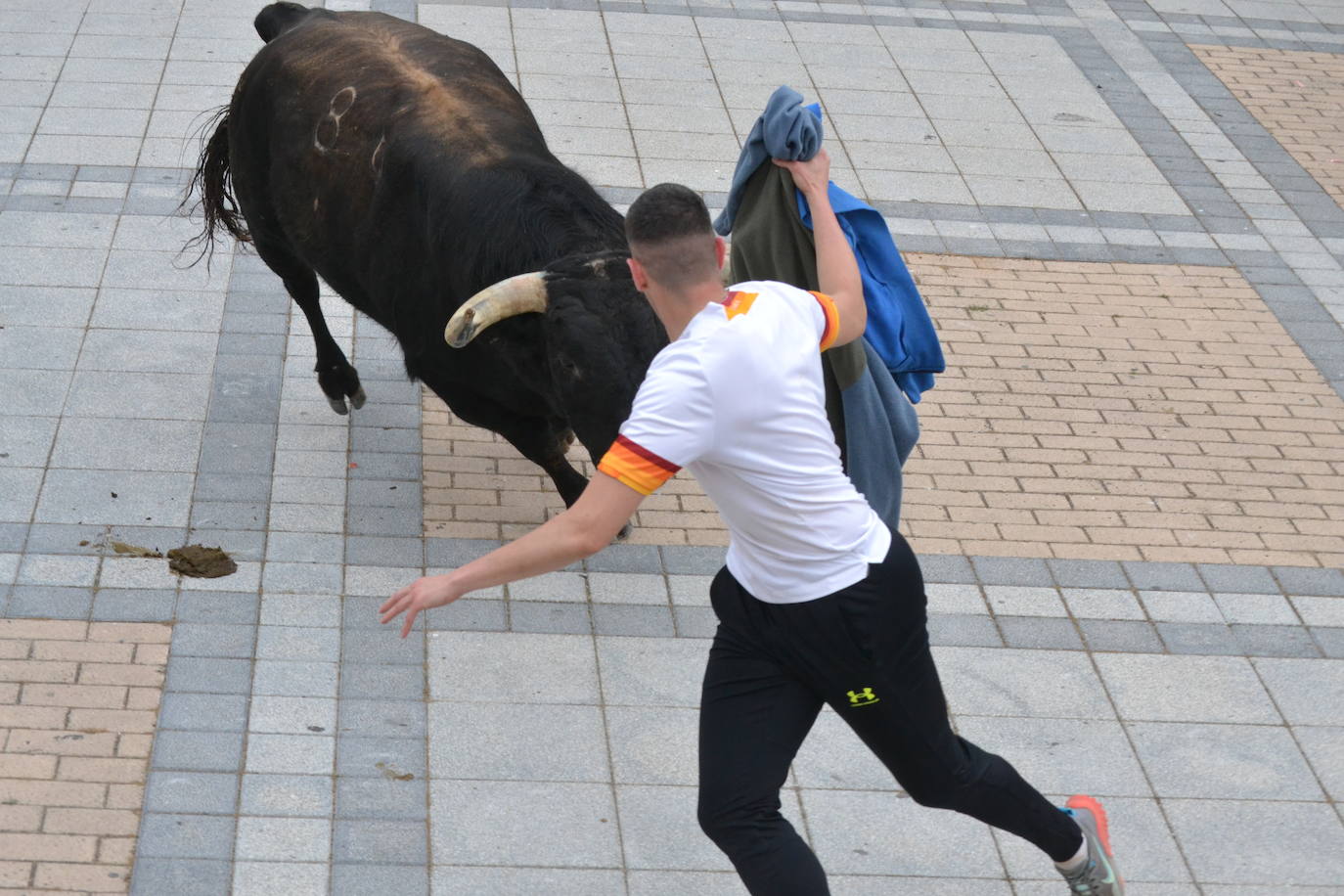 ‘Músico’ saca brillo al IX Toro de Cajón de Vitigudino