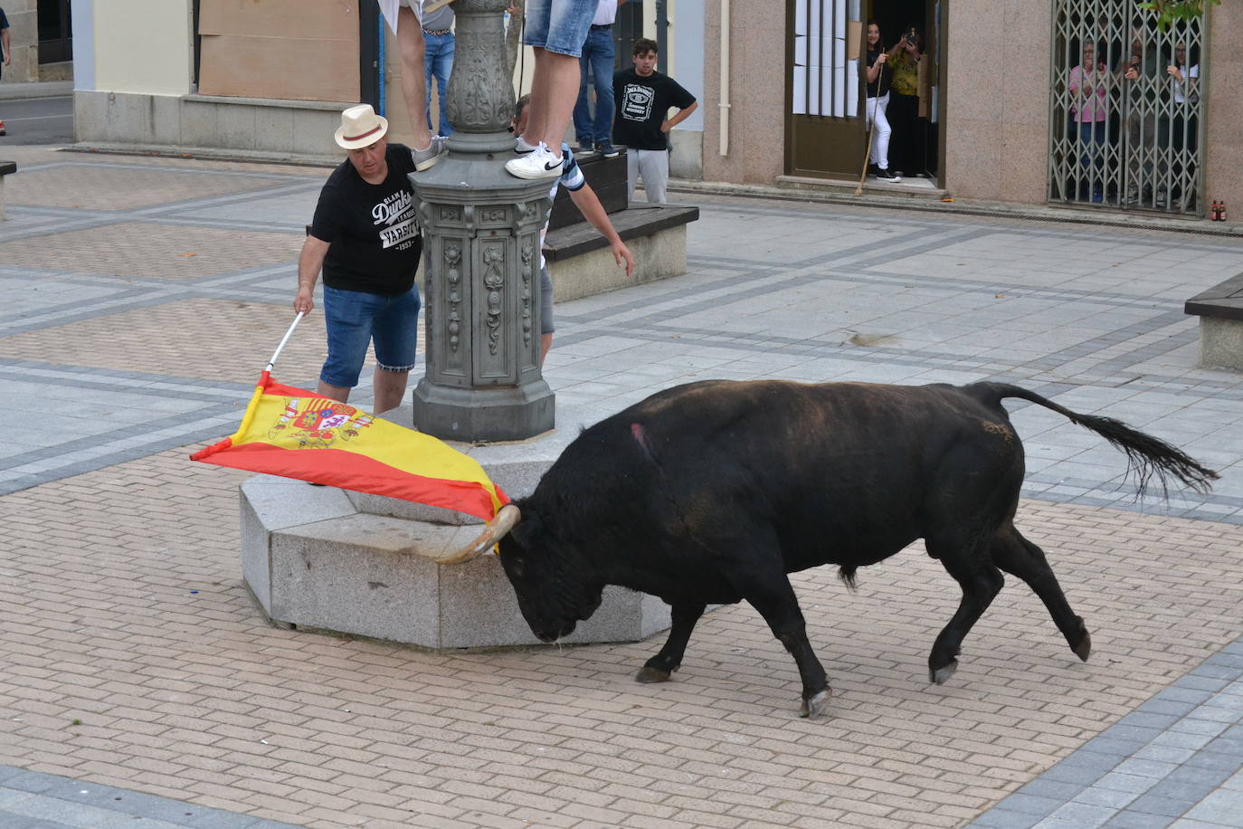 ‘Músico’ saca brillo al IX Toro de Cajón de Vitigudino