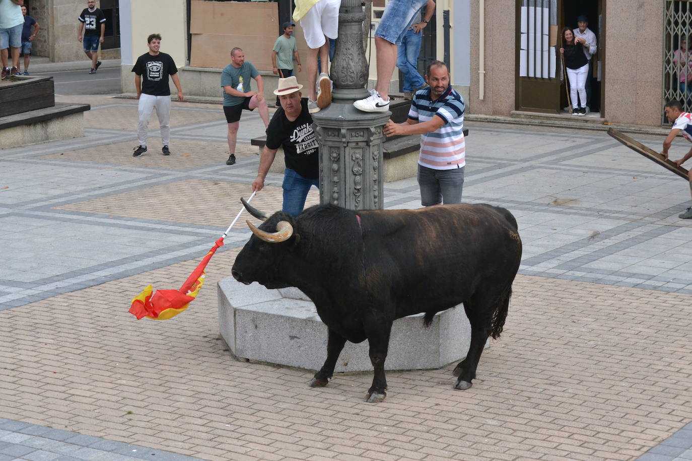 ‘Músico’ saca brillo al IX Toro de Cajón de Vitigudino