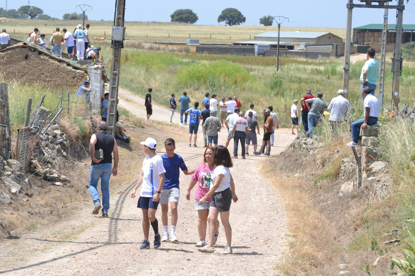 Vibrante encierro a caballo en Martín de Yeltes
