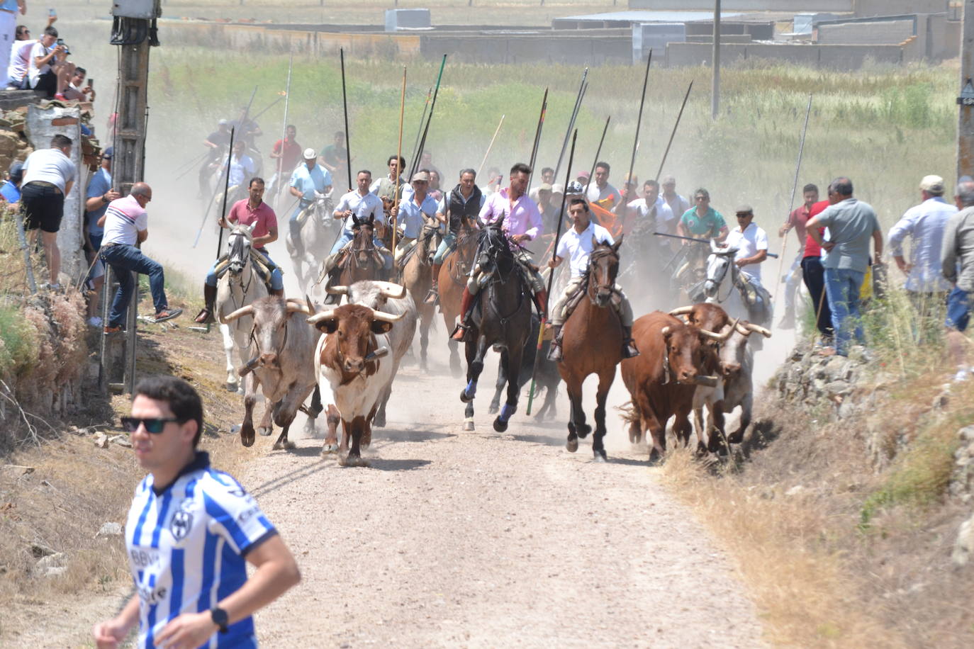 Vibrante encierro a caballo en Martín de Yeltes