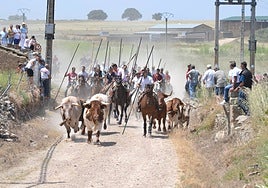 La manada, enfilando el último tramo de campo antes de llegar al casco urbano.