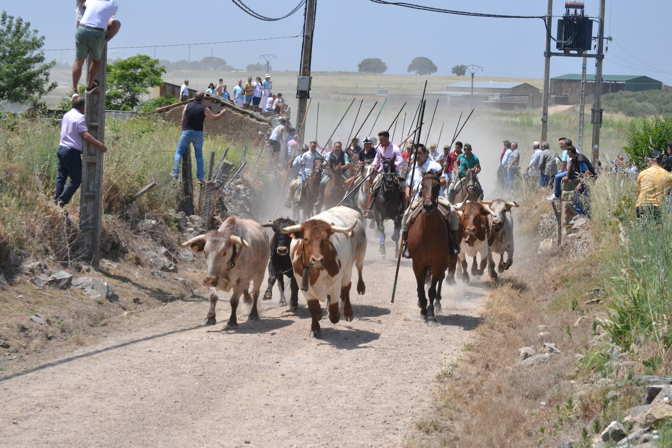 Vibrante encierro a caballo en Martín de Yeltes