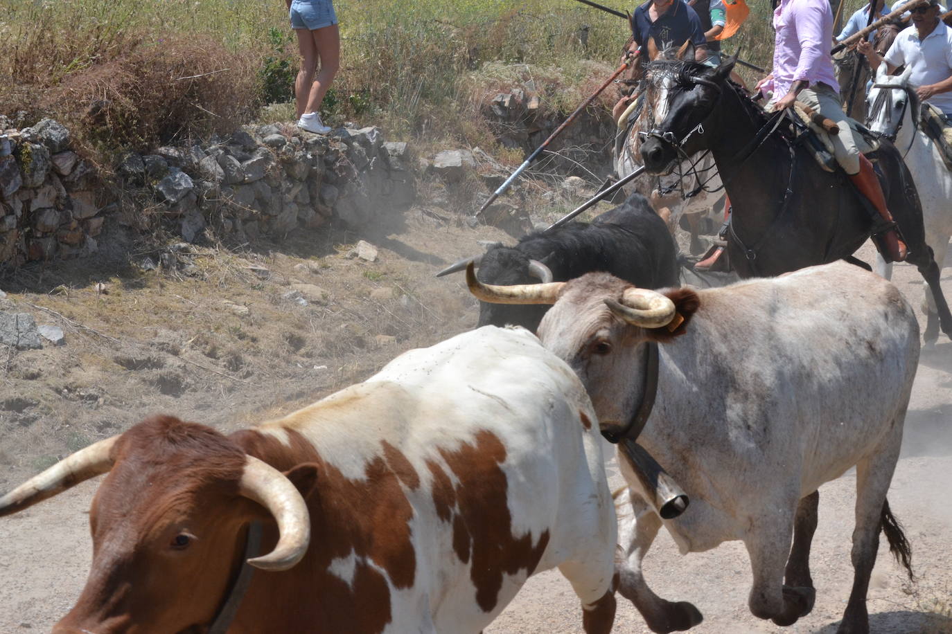 Vibrante encierro a caballo en Martín de Yeltes