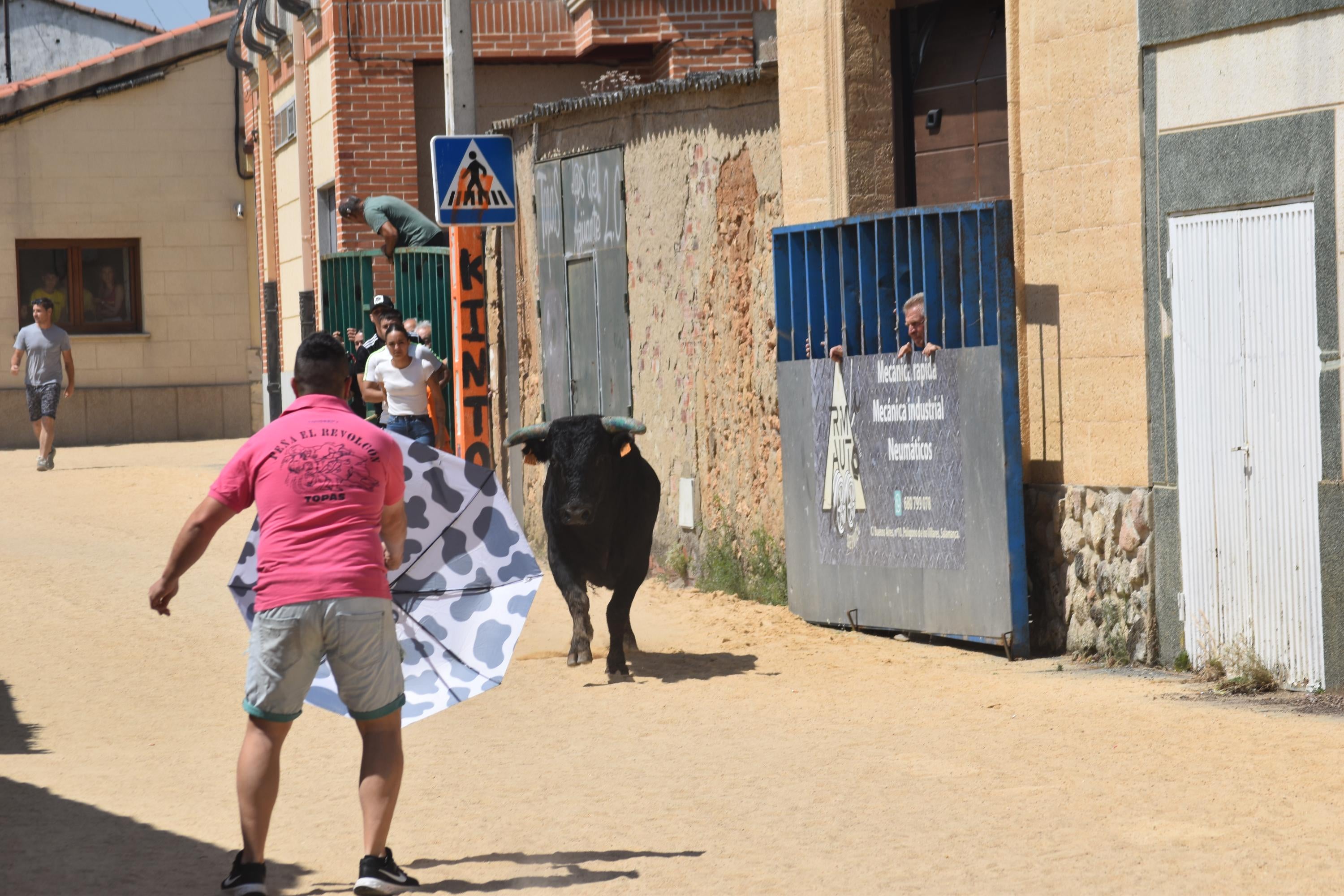 Topas disfruta de ‘Piñero’, ‘Campero’ y ‘Lagrimoso’