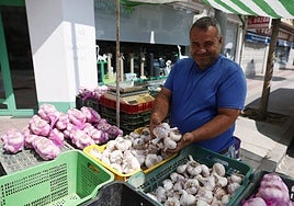 Un hombre organiza los ajos en su puesto.