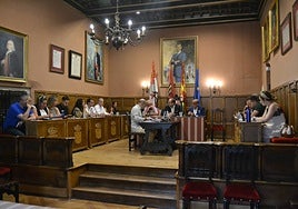 Inicio de la sesión plenaria de este miércoles en Ciudad Rodrigo