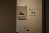 ‘Árbol’: el hiperrealismo de Reche