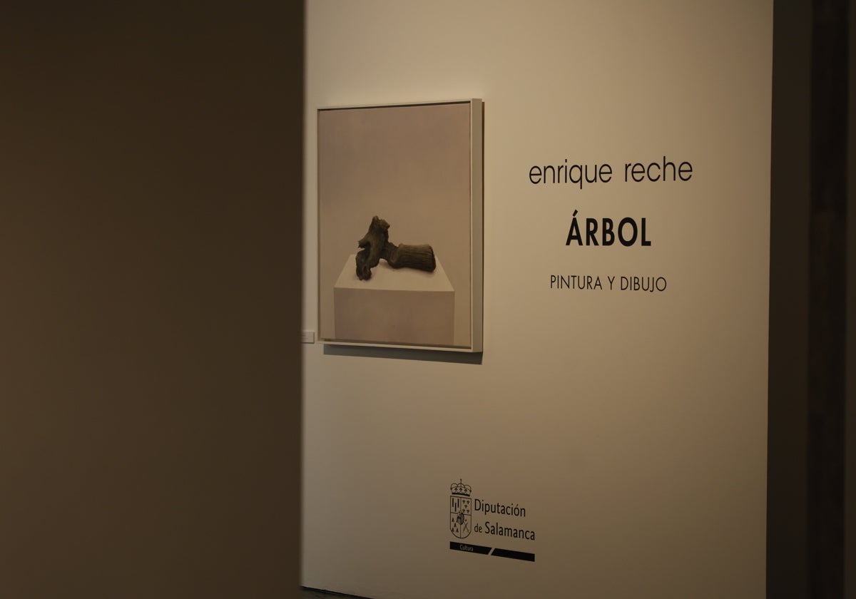 ‘Árbol’: el hiperrealismo de Reche