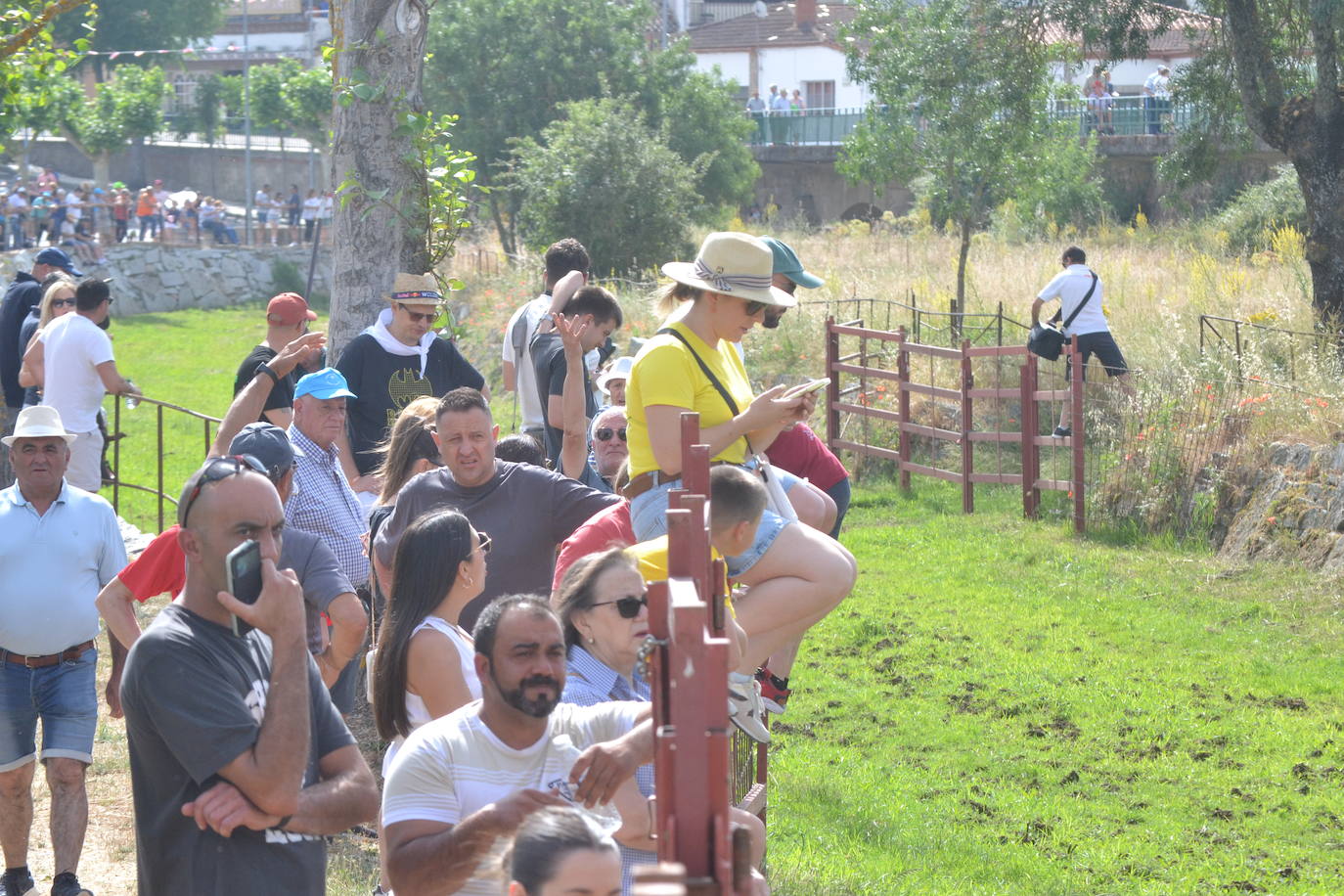 Rápido y bello trabajo caballista en Sancti Spíritus