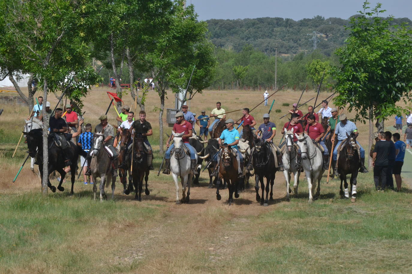 Rápido y bello trabajo caballista en Sancti Spíritus