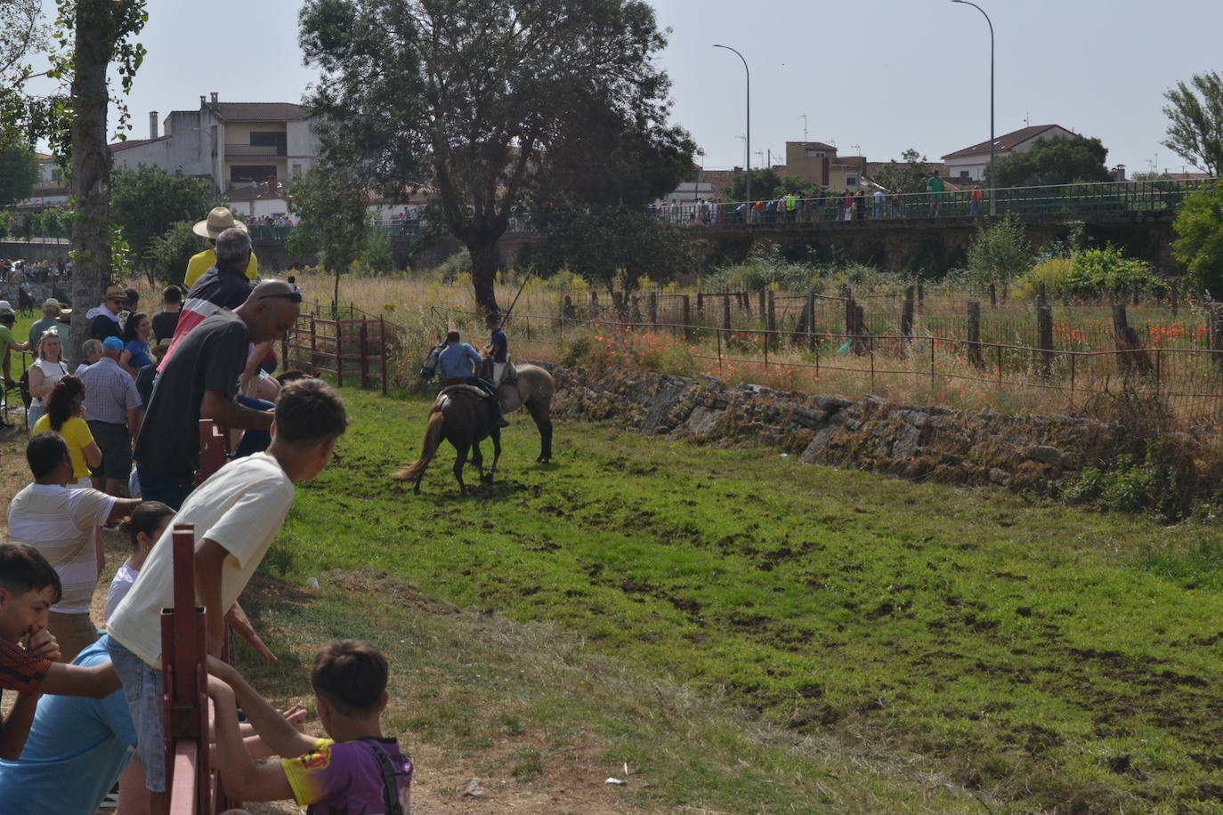 Rápido y bello trabajo caballista en Sancti Spíritus
