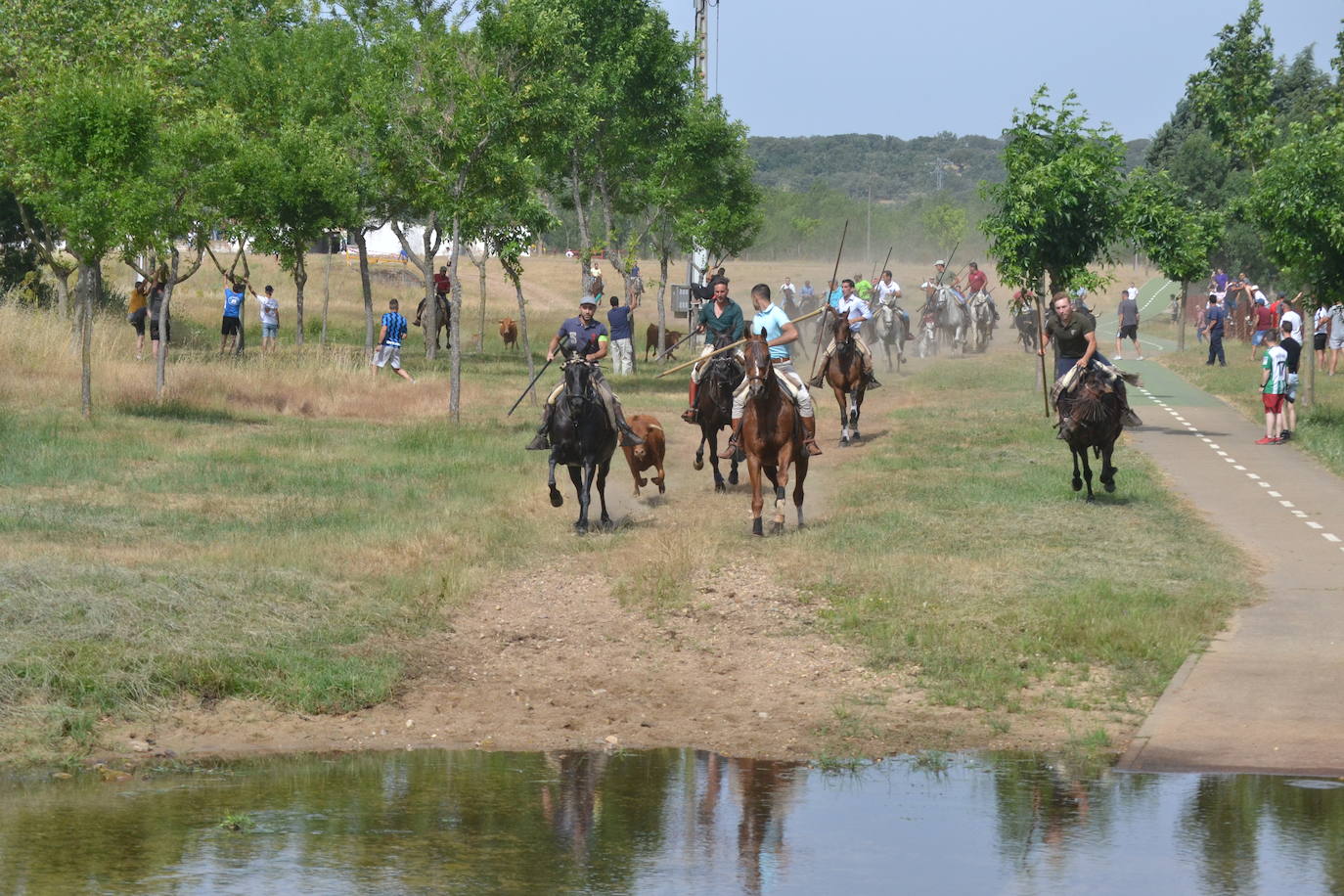 Rápido y bello trabajo caballista en Sancti Spíritus