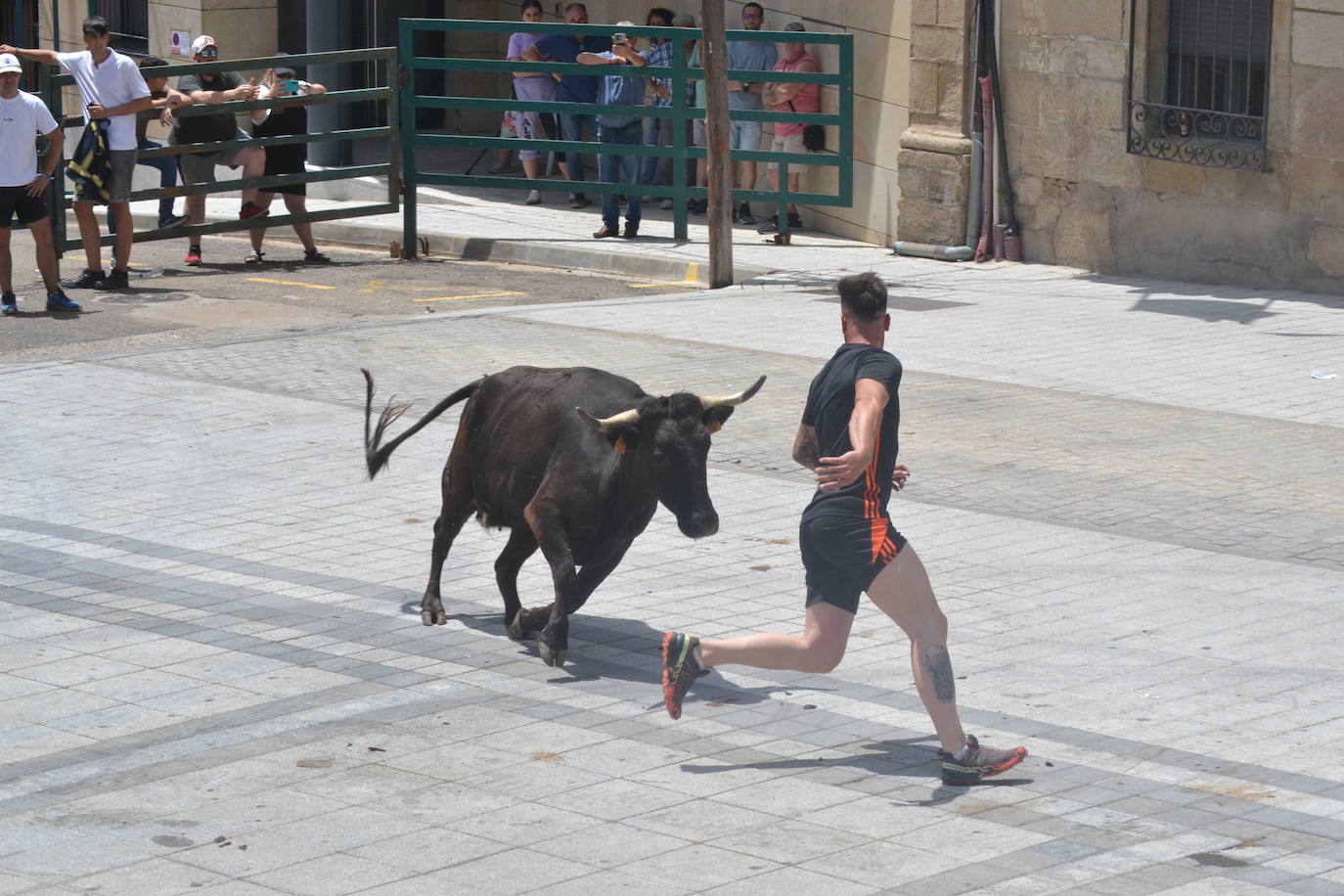 Derroche taurino en Vitigudino