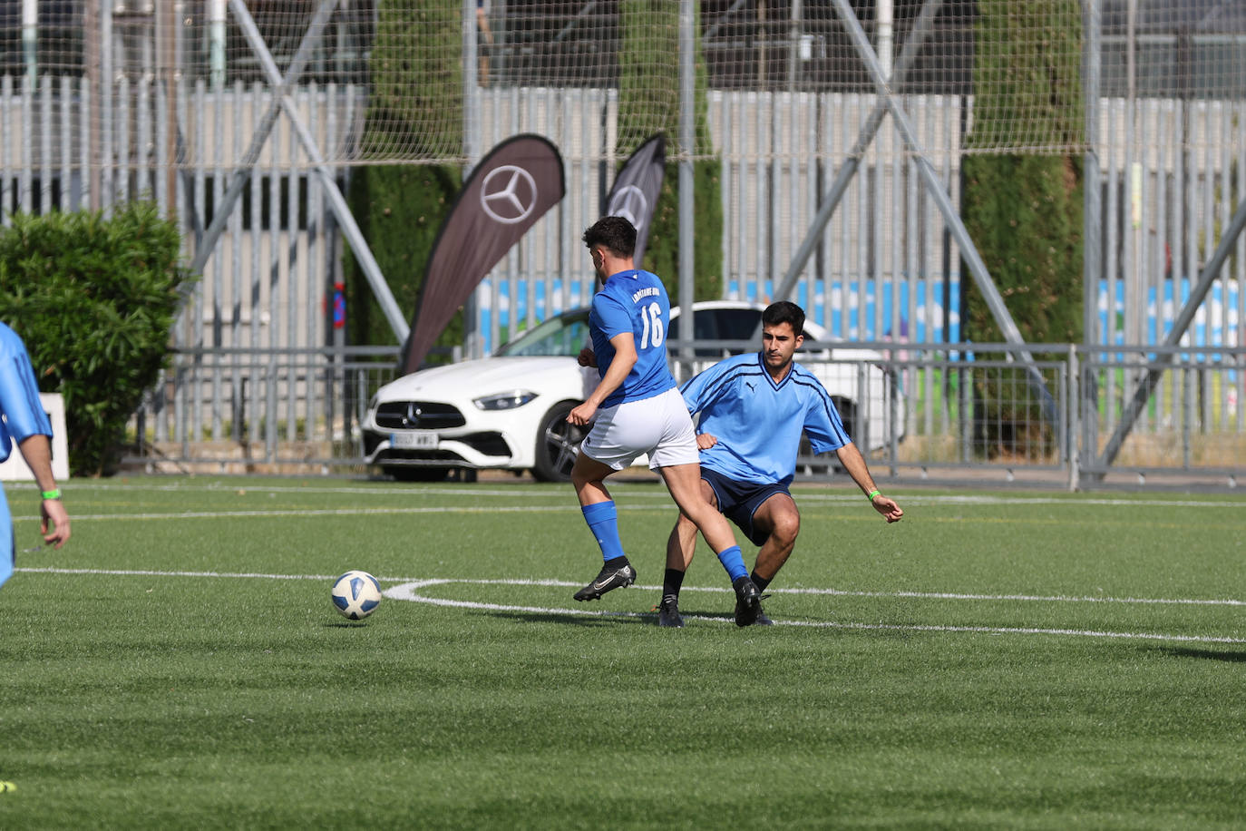 Los colegiados se enfrentan