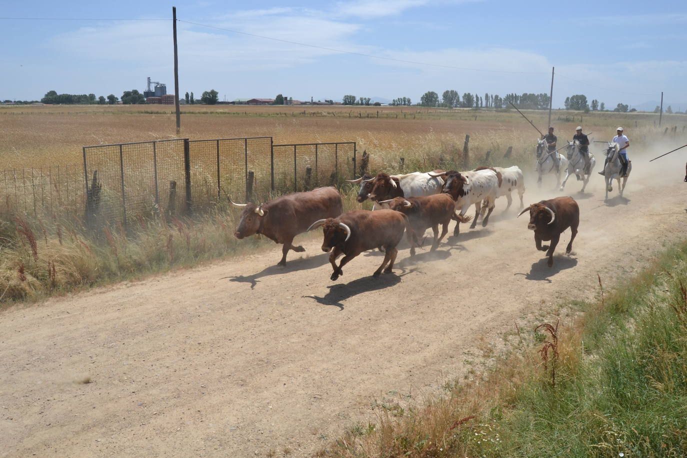 Bella carrera a caballo en La Fuente de San Esteban