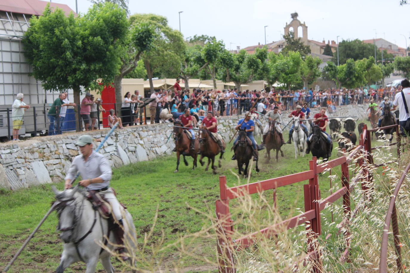 Último y trepidante encierro a caballo en Sancti Spíritus