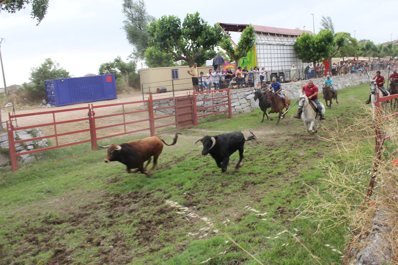 Último y trepidante encierro a caballo en Sancti Spíritus