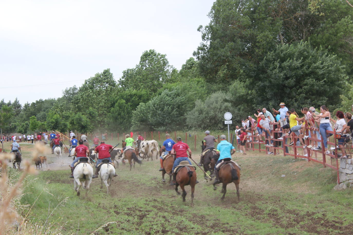 Último y trepidante encierro a caballo en Sancti Spíritus