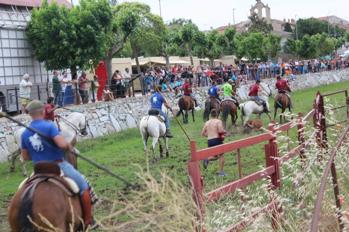 Último y trepidante encierro a caballo en Sancti Spíritus