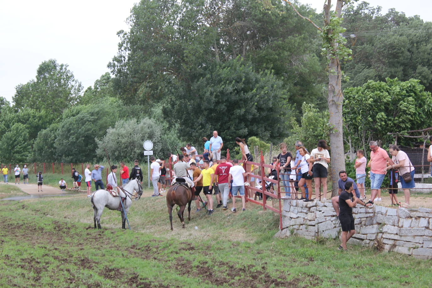 Último y trepidante encierro a caballo en Sancti Spíritus