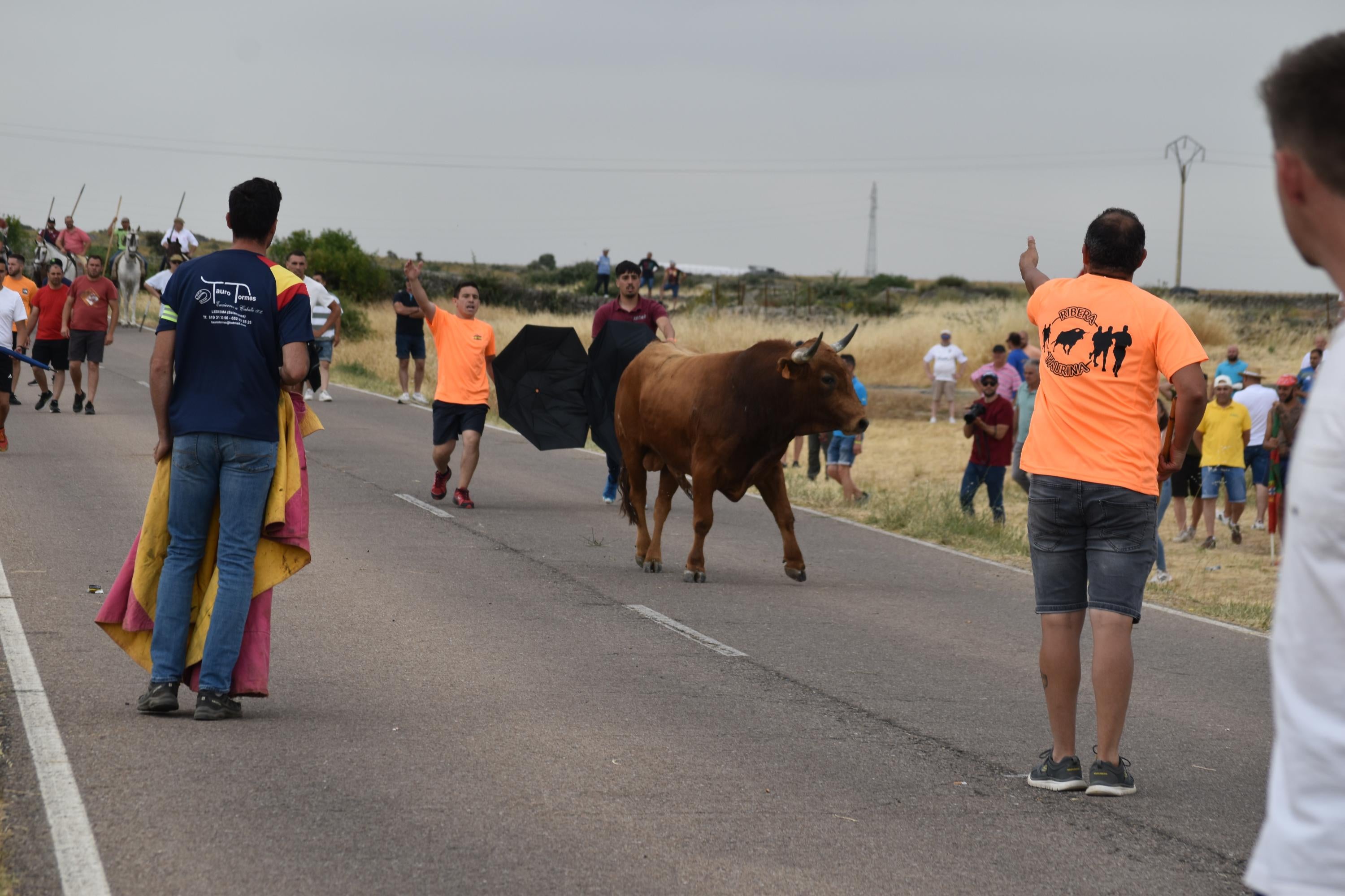 Tradición y riesgo en la última cita de los ‘Espantos’ en Ledesma